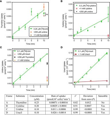 Pyrimidine salvage in Toxoplasma gondii as a target for new treatment